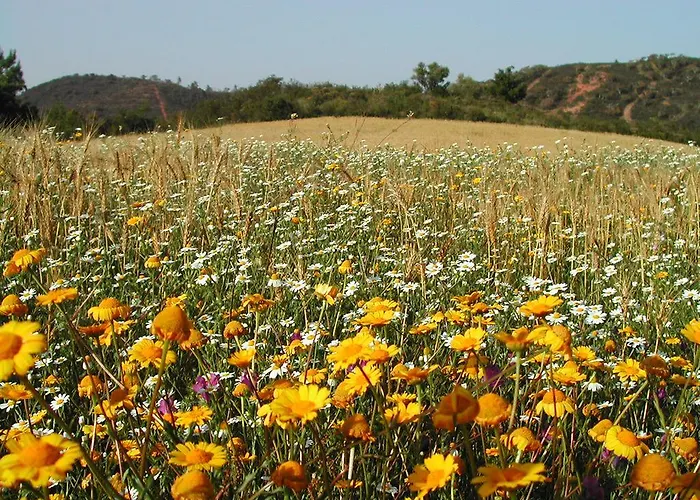 別荘 Ponta Branca House *